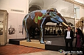 VBS_0904 - Riapre il Museo di Scienze Naturali dopo dieci anni di chiusura